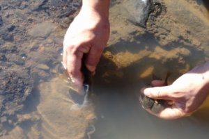 Meio Ambiente e Recursos Naturais
