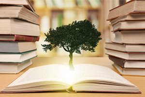 Introdução ao Direito Ambiental