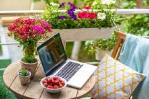 Organização do Lar