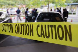 Introdução à Agentes Públicos e Privados na Cena de um Crime