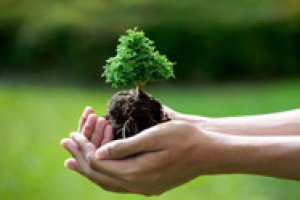 Introdução ao Licenciamento Ambiental