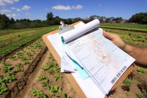 Agricultura