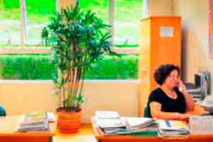 Introdução à Direção Escolar