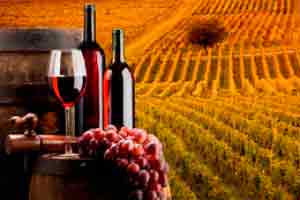Agricultura
