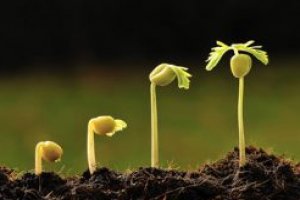 Introdução à Agronomia