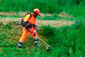 Básico para Operador de Motopoda