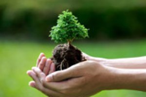 Introdução à Auditoria e Perícia Ambiental