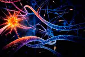 Introdução à neuropsicologia da idade adulta e envelhecimento