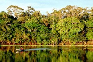 Estudos Amazônicos