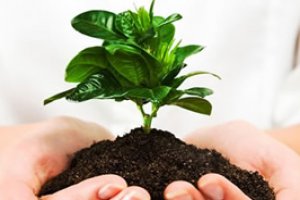 Introdução à Legislação Ambiental