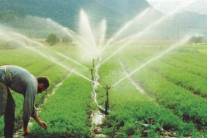 Projetos de Irrigação