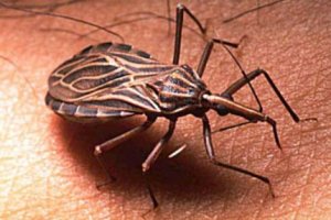 Doença de Chagas