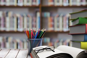 Agente Social Escolar