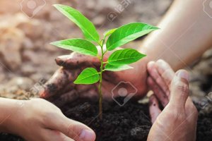 Capacitação de Agentes Ambientais