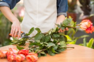 Técnicas Profissionais 