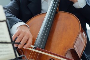 Violoncelo