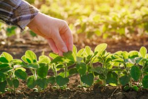 Agricultura Familiar e Desenvolvimento Agrário