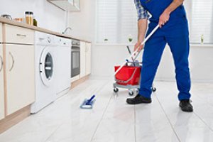 Limpeza e Higienização