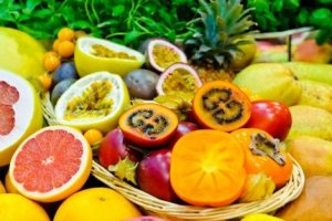 Fruticultura Básica em Clima Tropical