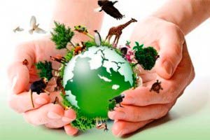 Meio Ambiente e Futuro