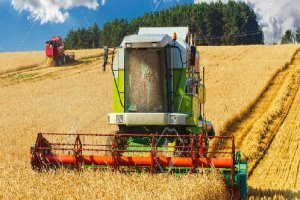 Agricultura