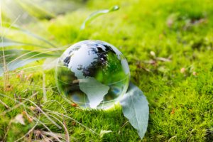 Educação Ambiental em Perspectiva Transversal