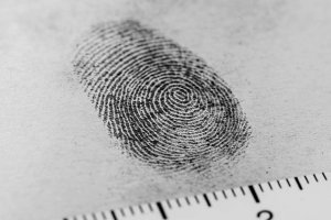 Introdução à Criminologia e a Segurança Pública